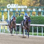 Five Key Historical Trends to Know Before Betting the 2026 Arkansas Derby